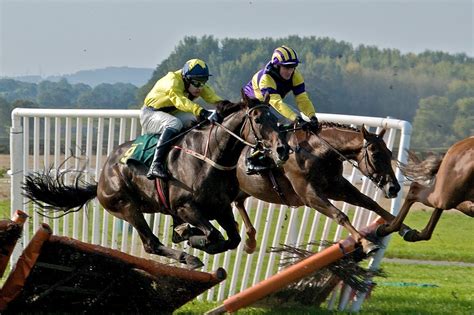 bangor horse racing results|Bangor On Dee Race Results Yesterday: Fast + Full Results.